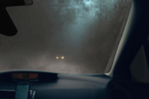 scarsa visibilità alla guida